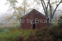 /album/captivatebyerica/little-red-ii-1024x683-jpg1/